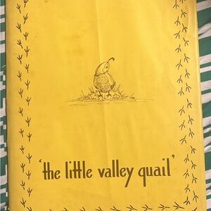 Rare Children’s Book “The Little Valley Quail” by GA Toepperwein
